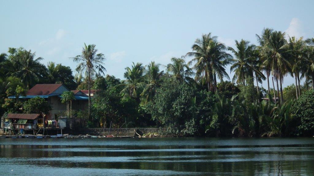 Balade le long du fleuve