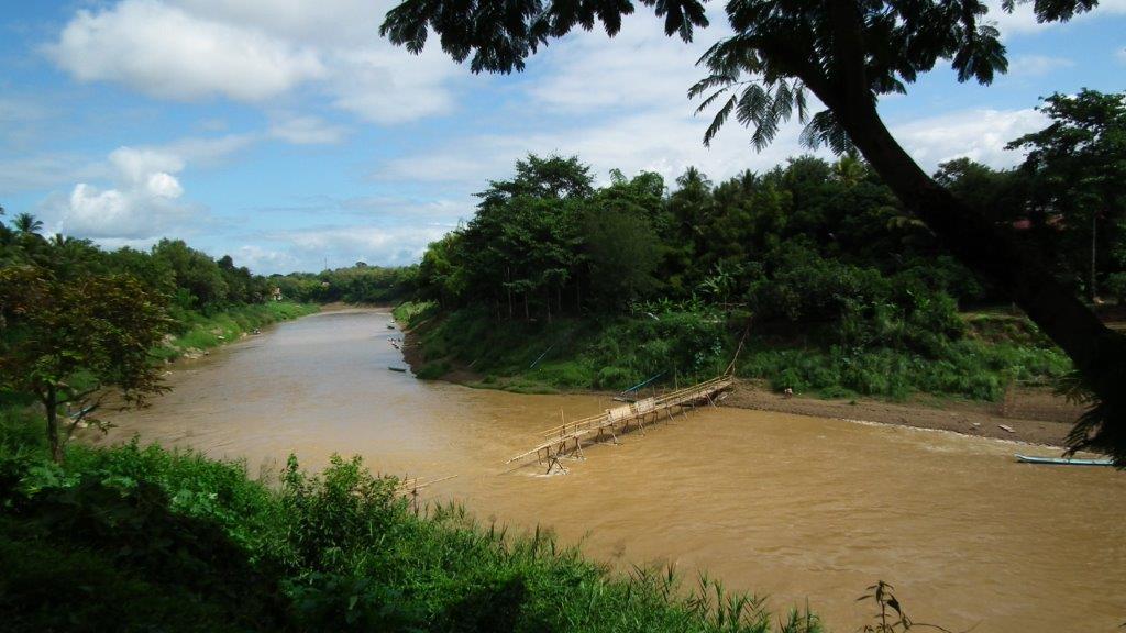 Pont en Bambous